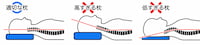 首のカーブにフィットした理想的な枕の高さの比較図